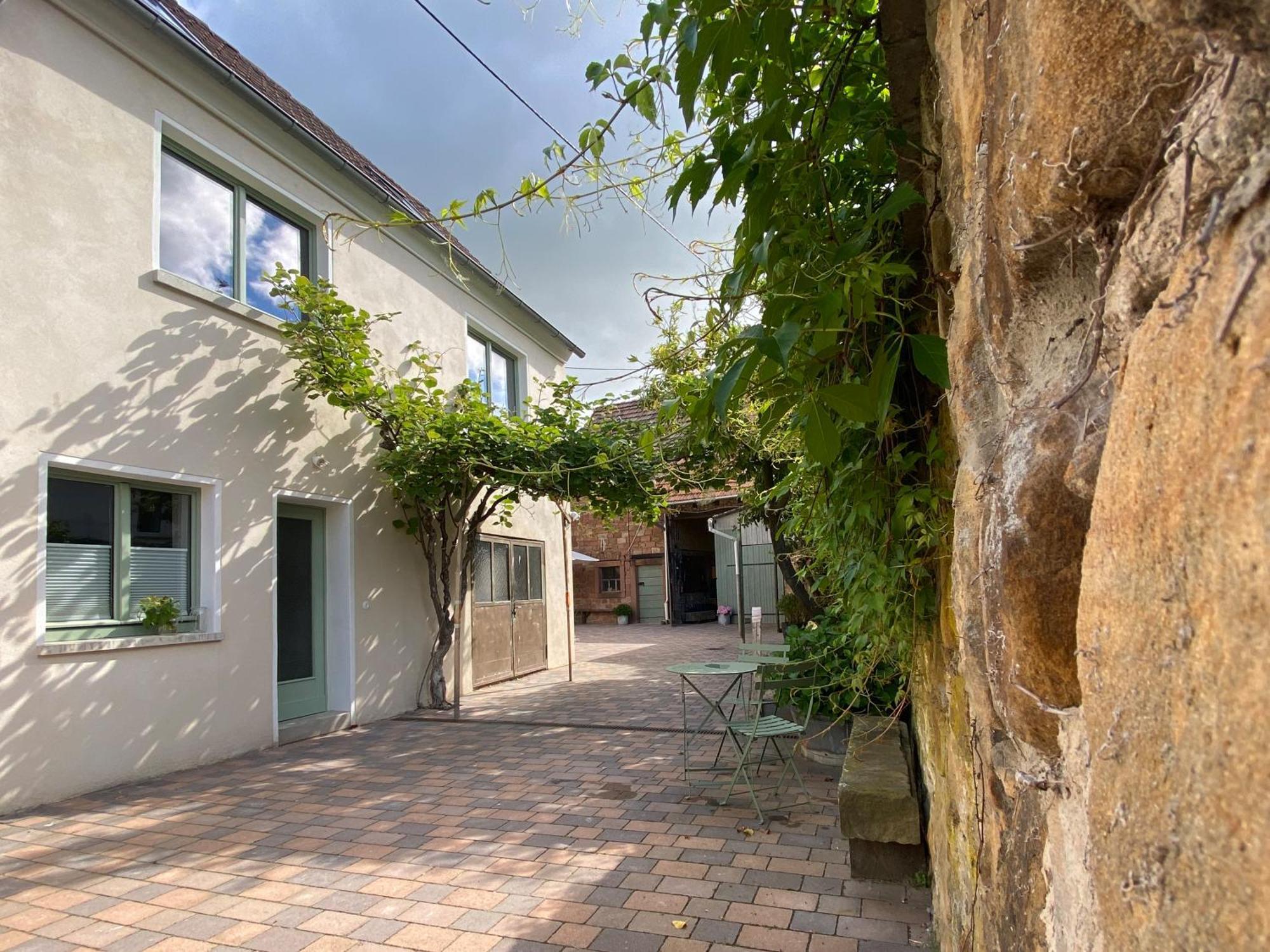 Zum Schockelgaul Gaestehaus Forst an der Weinstrasse Eksteriør billede